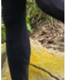 decathlon | 緊身褲（防蚊蟲）(スポーツグッズ)