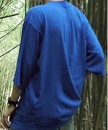 ZARA | Tシャツ/カットソー