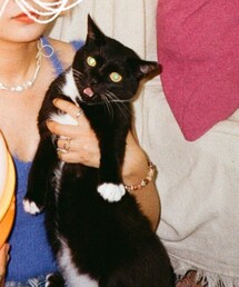 fatfatxiaoman | インテリア