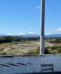 富士山 | トップス