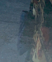 THE NORTH FACE | バッグ