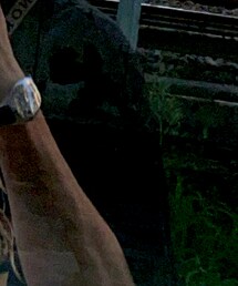 METALLICA | Tシャツ/カットソー