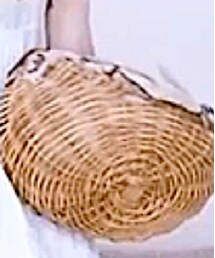 ebagos | かごバッグ