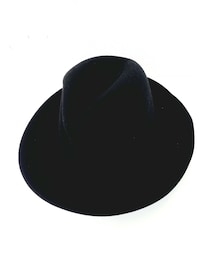 STETSON | 日本製　ステットソン。(ハット)