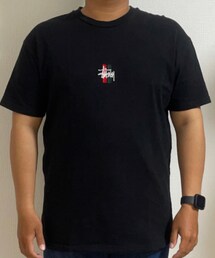 STUSSY | Tシャツ/カットソー