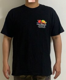 STUSSY | Tシャツ/カットソー