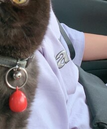 Paragraph | Tシャツ/カットソー