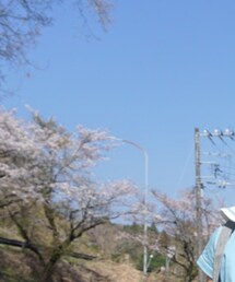 Molo | サングラス