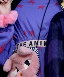 The animals observatory | ベルト