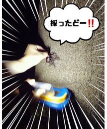 私が見つけたカブトムシ❗🔍️ | アウトドアグッズ