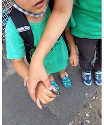 またセミかい！今度はクマゼミ🔎 | アウトドア/スポーツ