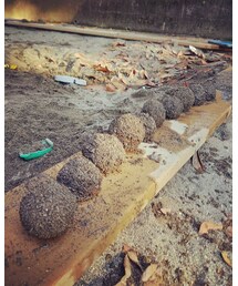 みんなで作った泥まんじゅう | その他