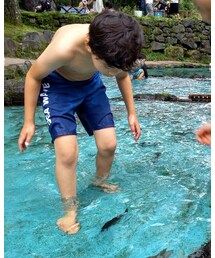 全然捕まらなかったそうです◎ | その他