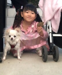 ECONECO | ワンピース