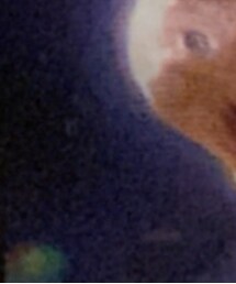 TINA：JOJUN | トップス