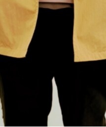Dickies | スラックス