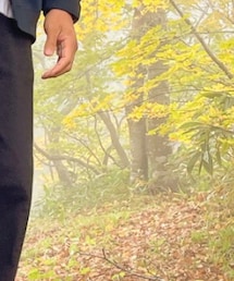 genten | トートバッグ