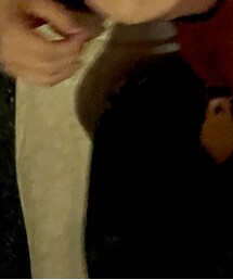 LOUIS VUITTON | バッグ