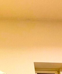 GU | シャツ/ブラウス