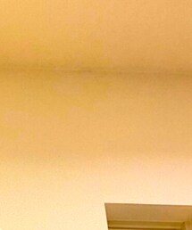 SEIYA INTERNATIONAL | ピアス（片耳用）