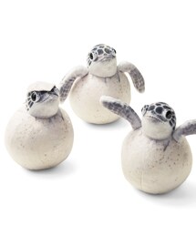 フェリシモ | YOU+MORE! × 海とかもめ部　応援したくなるアオウミガメの赤ちゃんのぬいぐるみポーチ(その他雑貨)