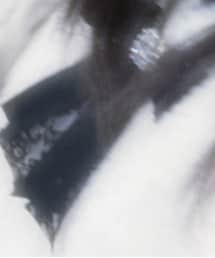 LIZ LISA | ニット/セーター