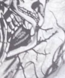 SHEIN | Tシャツ/カットソー