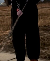 GU | カーゴパンツ