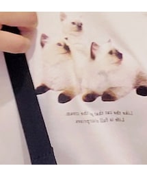 Honeys | Tシャツ/カットソー