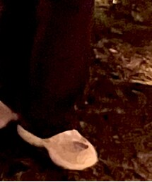 Reebok | スニーカー