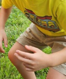 Dickies | チノパンツ