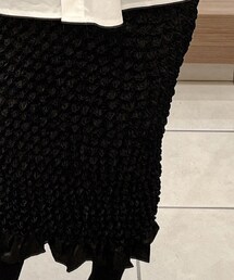 Ray BEAMS | スカート