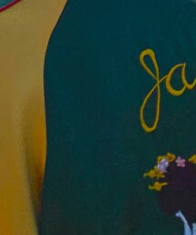 クロップドヘッズ | スカジャン