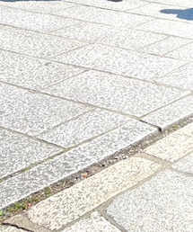 京都行きました | その他