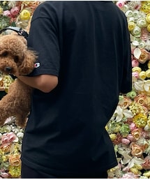 Champion | Tシャツ/カットソー