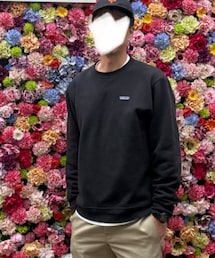 patagonia | スウェット