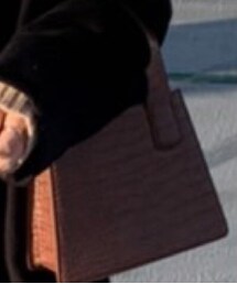 Link | ハンドバッグ