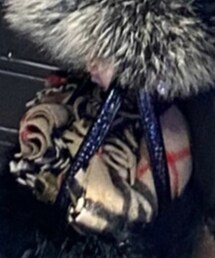 BURBERRY | マフラー