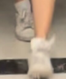 adidas Originals | スニーカー