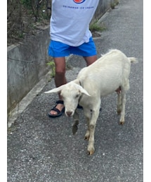 THE NORTH FACE | 水着