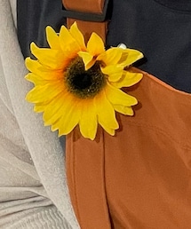 不明 | ブローチ/コサージュ