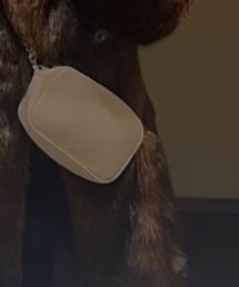 COQULE | ショルダーバッグ