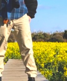 UNIQLO | チノパンツ
