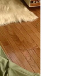 titimoo | レインコート/ポンチョ