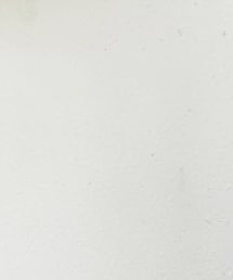 ins : c.chien___ | その他