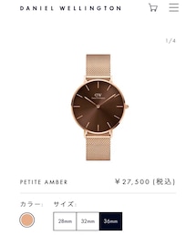 Daniel Wellington | アナログ腕時計