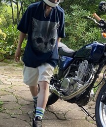 STUSSY | チノパンツ