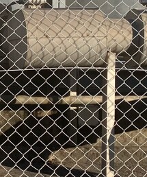 DIESEL | トップス