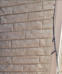 abcd | Tシャツ/カットソー