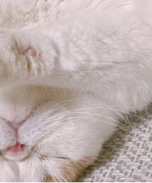 Zozozz | アイライナー